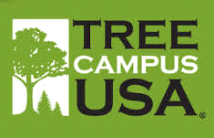 Tree Campus Banner