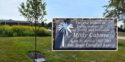 Triton College Memorializes Longtime Employee with Campus Tree Planting